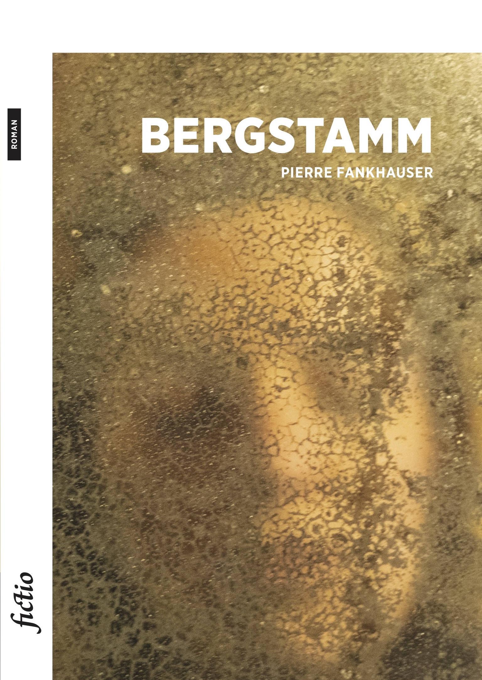 Bergstamm_cover (sans 4ème)