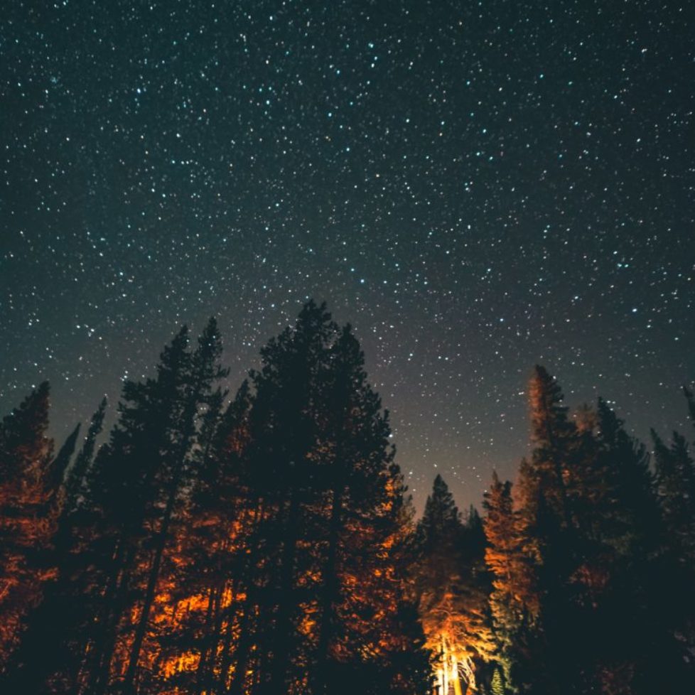 casey-horner-ydmt8IFH4Ac-unsplash