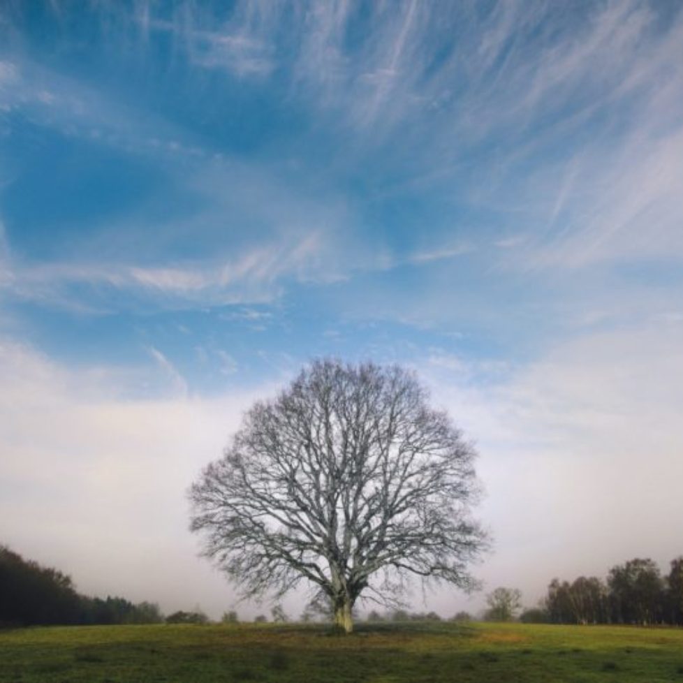 luke-richardson-OJo6TXpFGiY-unsplash